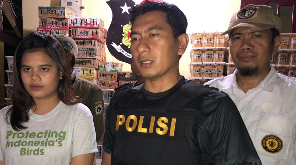 Seorang perempuan muda dengan t-shirt dari FLIGHT dan seorang polisi di ruang penyimpanan penuh dengan kardus berisi burung