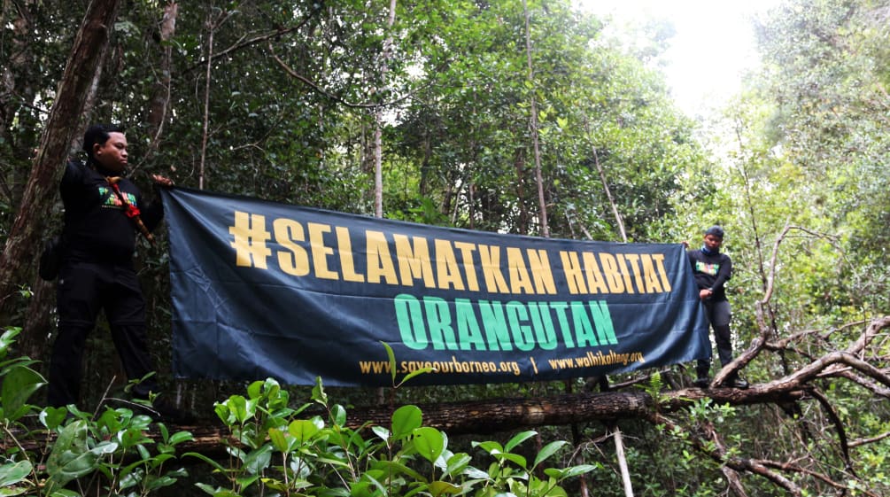 Spanduk besar didepan hutan