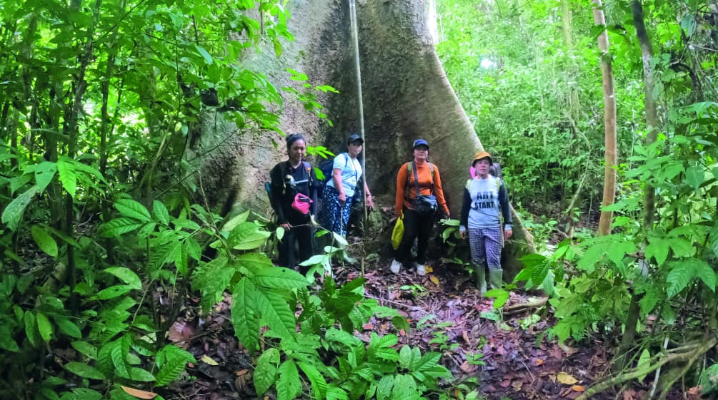 4 perempuan di depan pohon raksasa