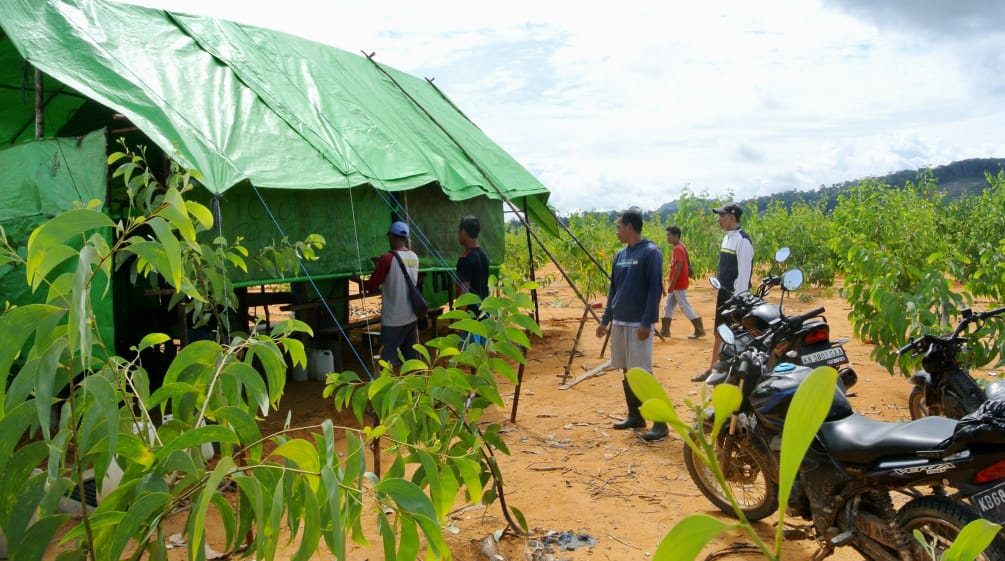 Barak pekerja kebun ilegal