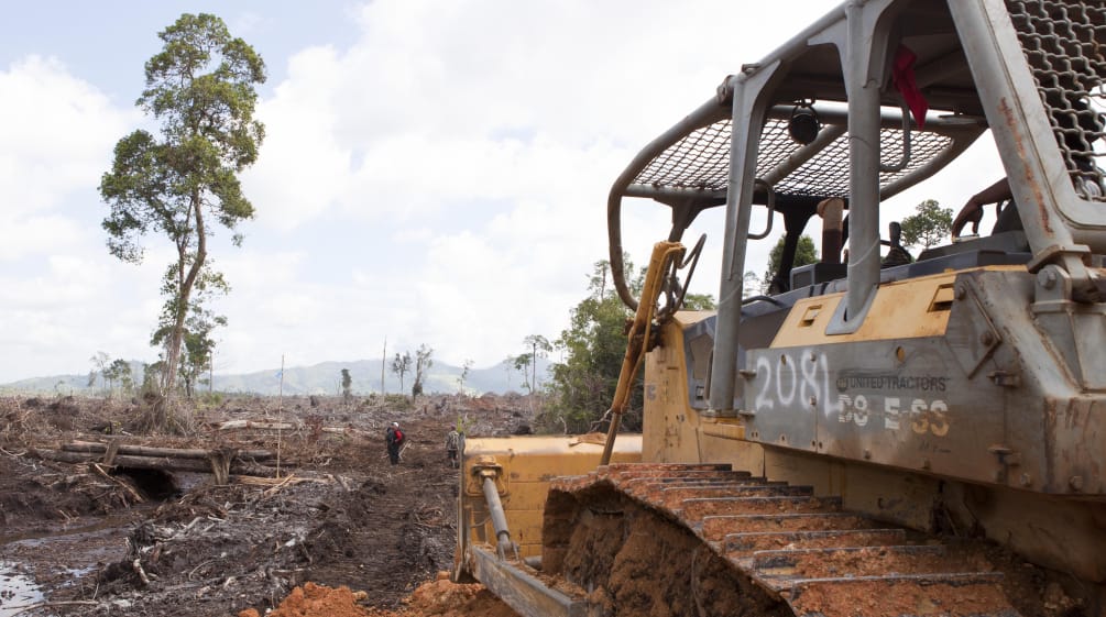 bulldoser merusakkan hutan