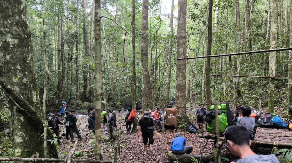 kelompok pendaki di dalam hutan