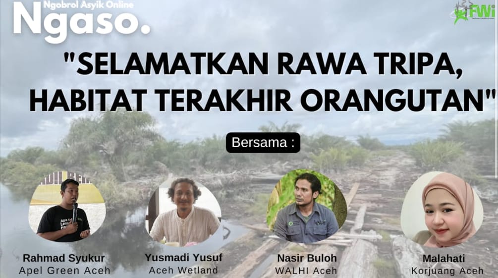 Poster Webinar "Selamatkan Rawa Tripa, Habitat terakhir Orangutan"